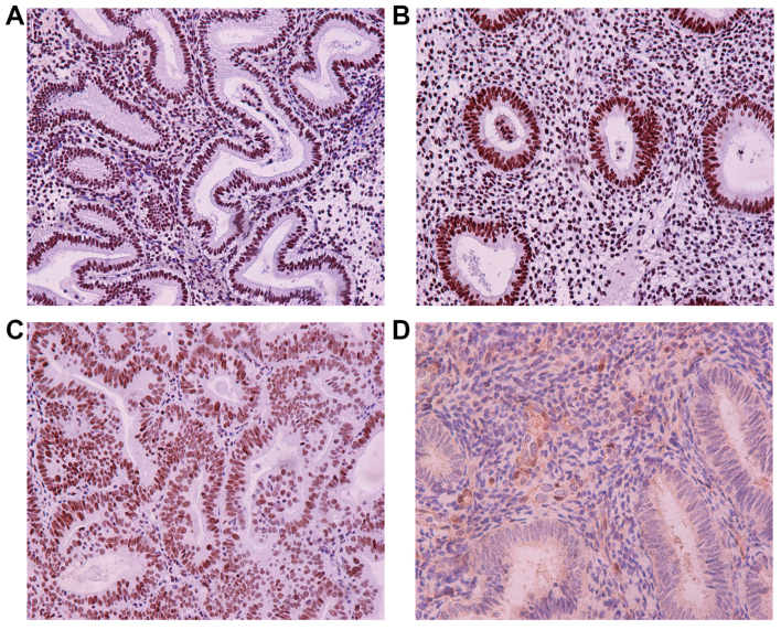 Figure 12.