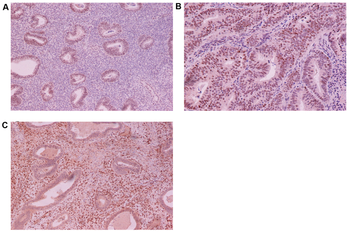 Figure 10.