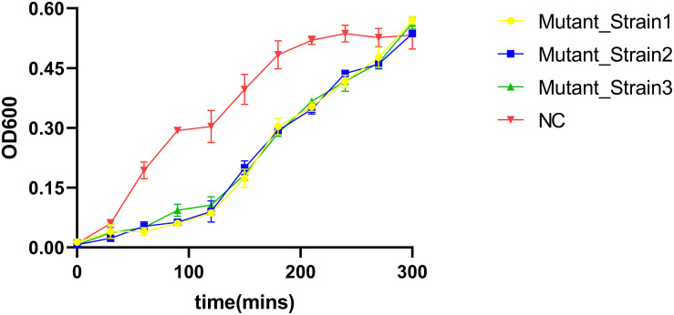 FIGURE 3