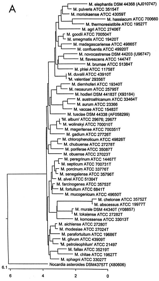 FIG. 1