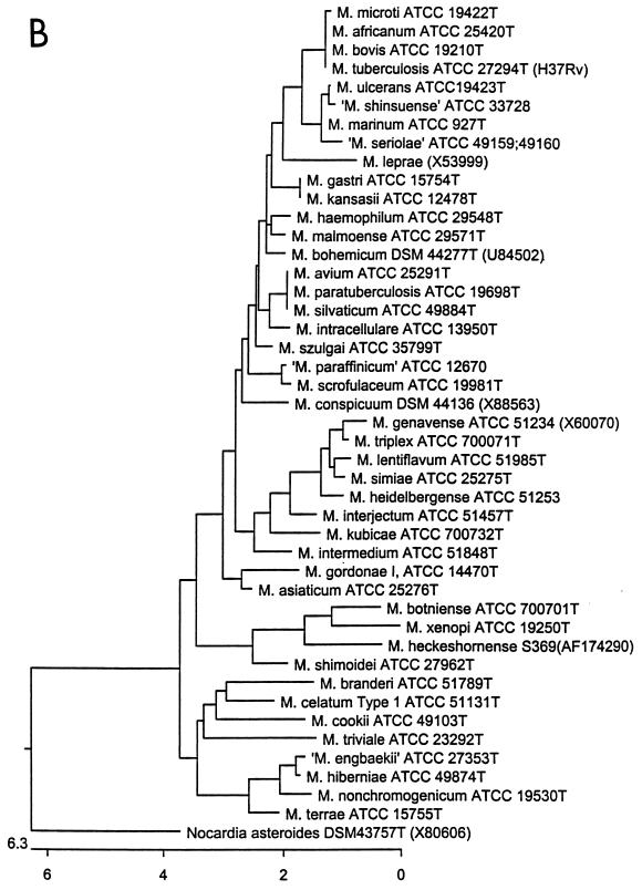 FIG. 1