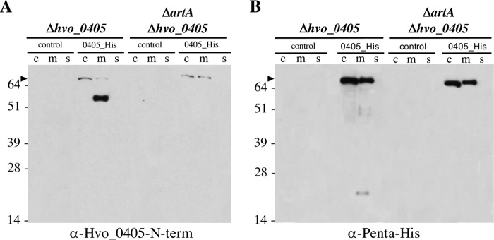 FIG 3