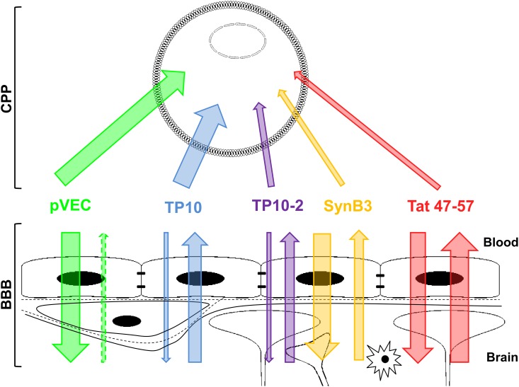 Fig 6