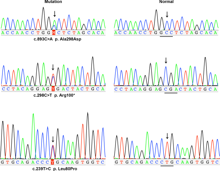 Figure 5