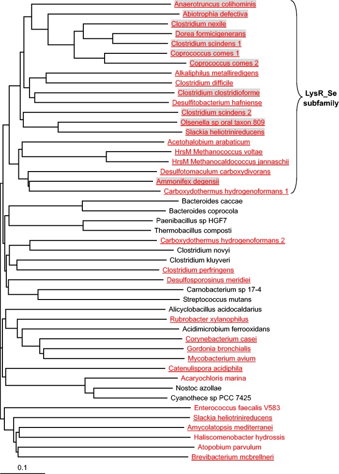 Fig. 4.—