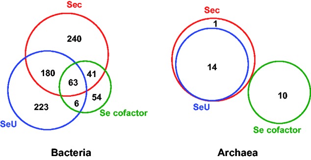 Fig. 2.—