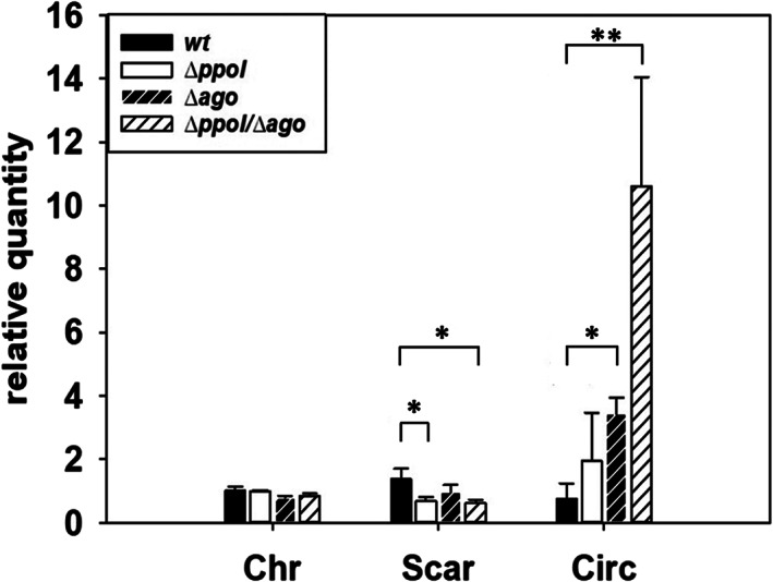 Fig 4