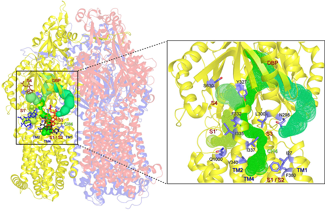 Figure 5.