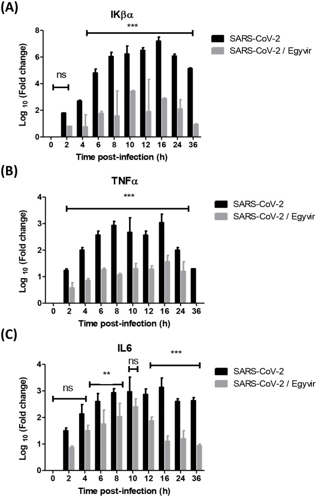 Fig 6