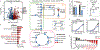 Fig. 6: