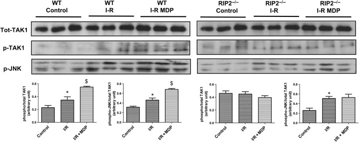 Figure 3