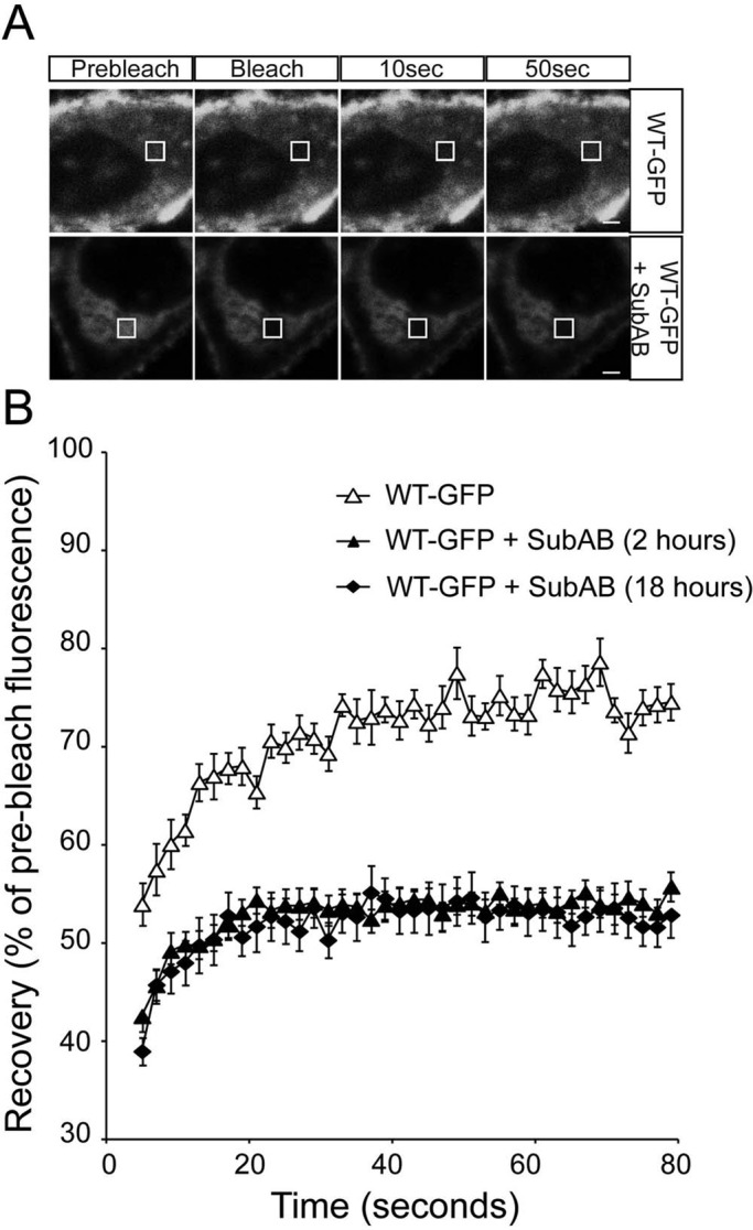 FIGURE 4: