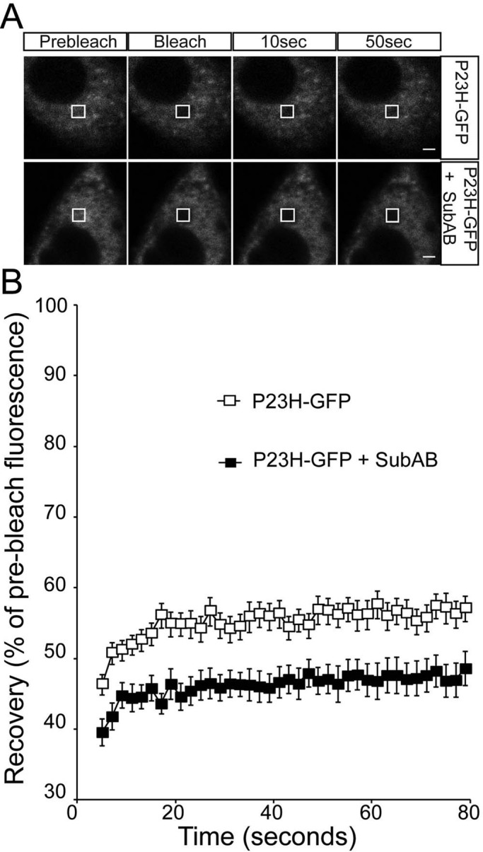 FIGURE 6: