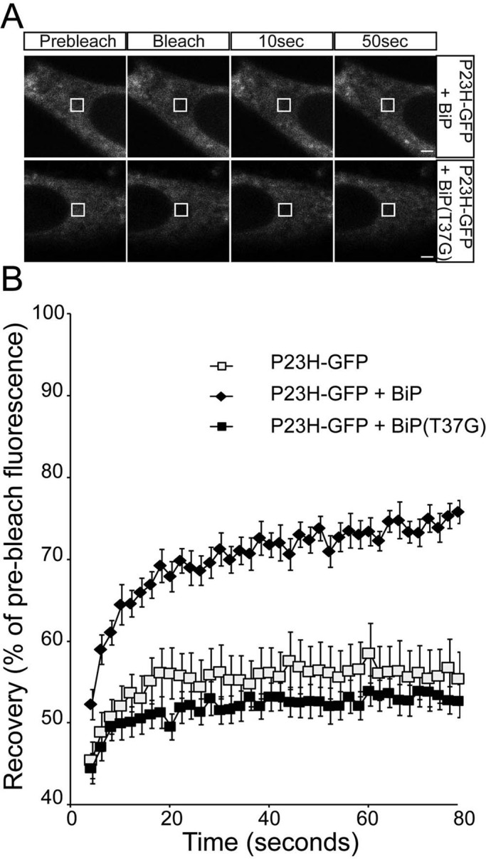 FIGURE 7: