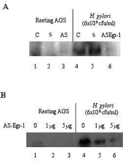 FIG. 9.