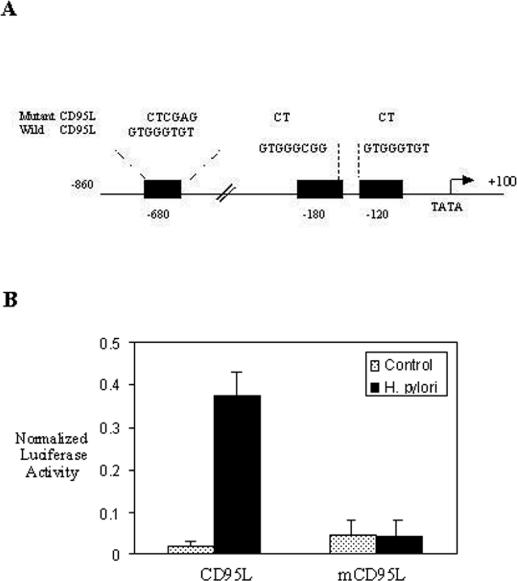 FIG. 8.