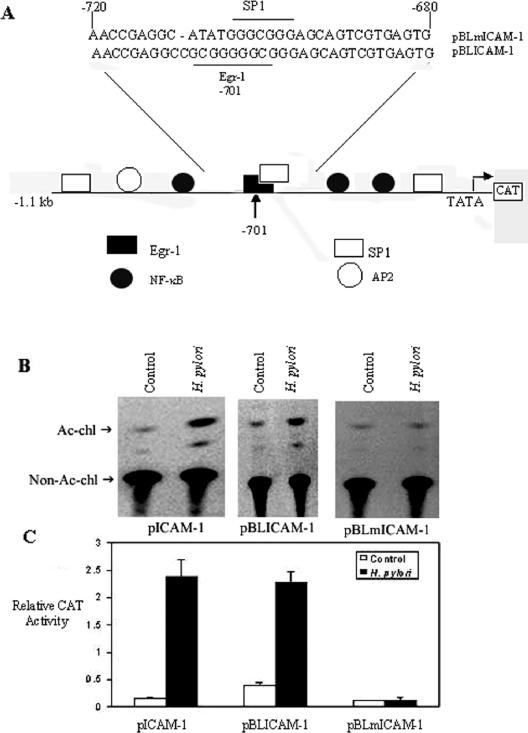 FIG. 7.