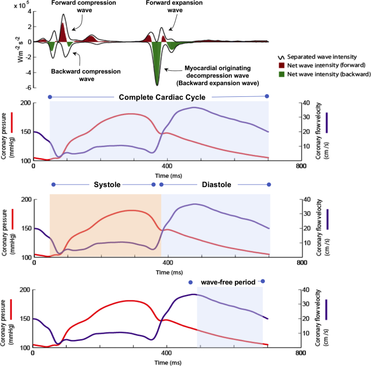 Figure 2