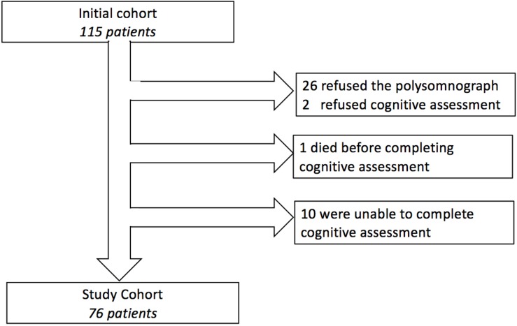 FIGURE 1