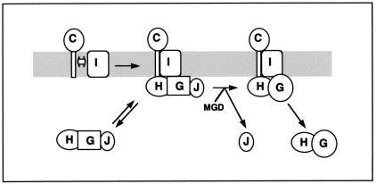 FIG. 5.