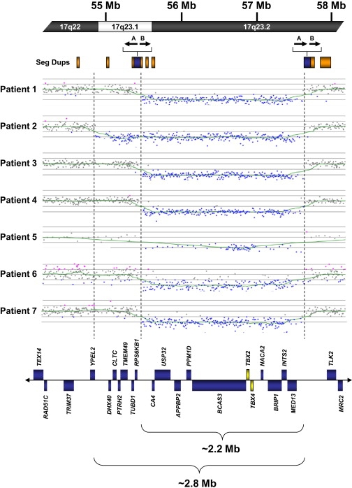 Figure 1