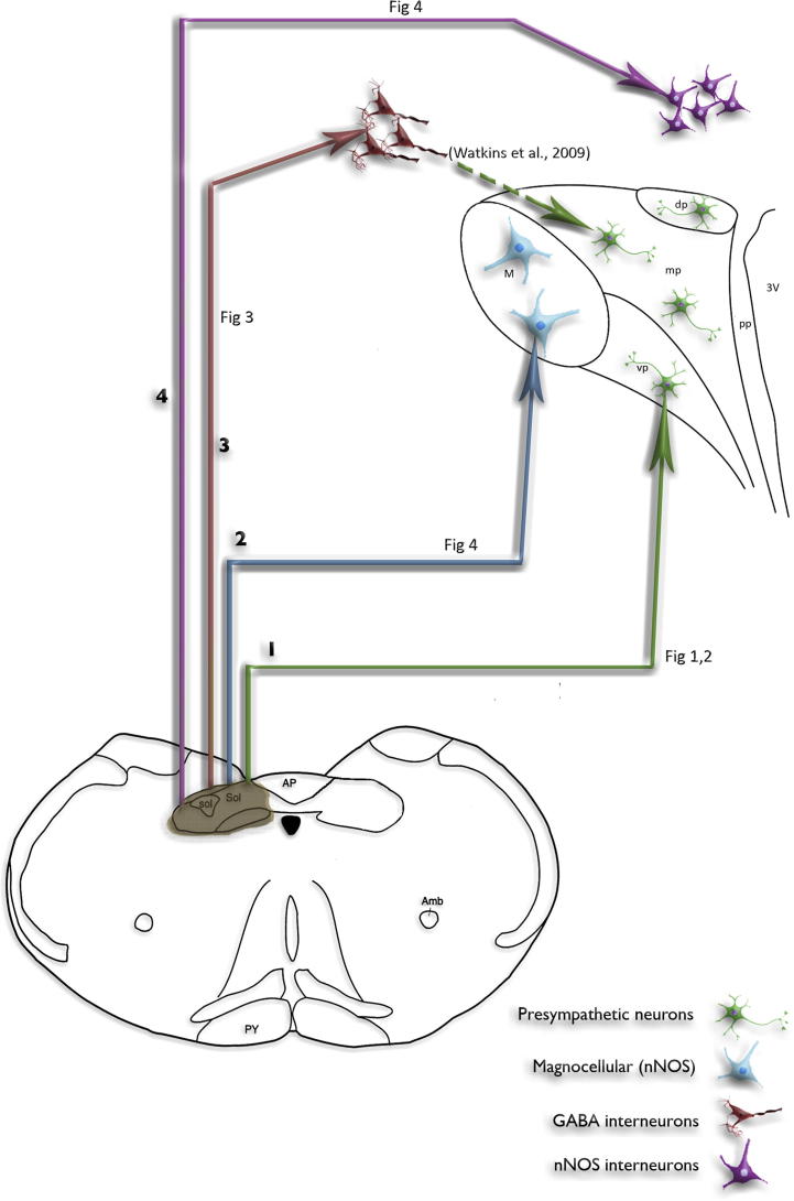 Fig. 8