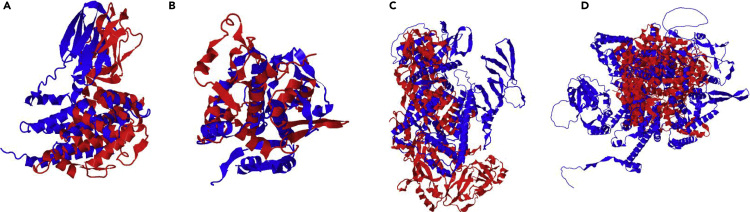 Figure 7