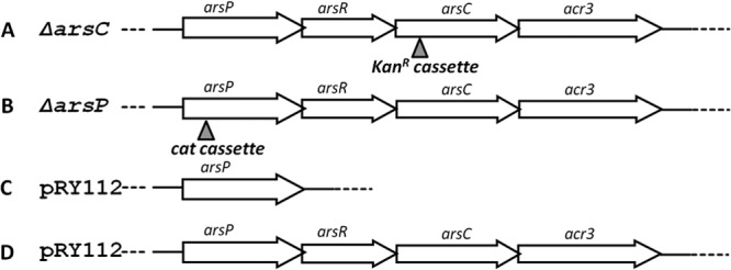 FIG 1