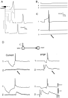 Fig. 10.