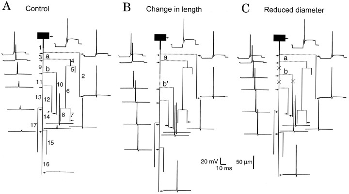 Fig. 6.