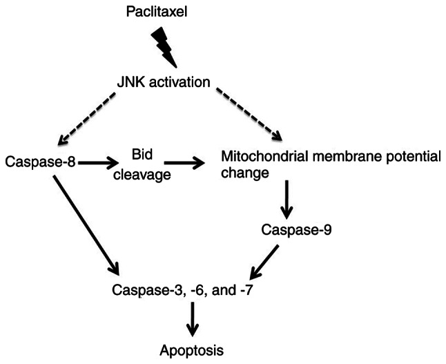 Figure 7.