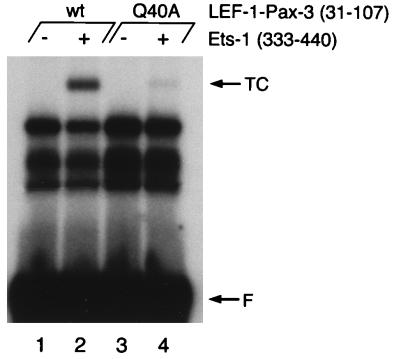 FIG. 8