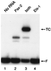 FIG. 7