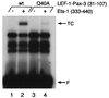 FIG. 8