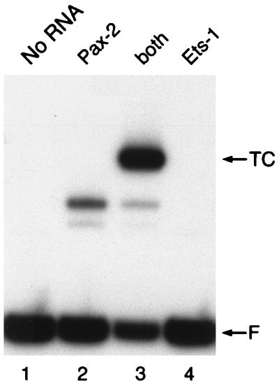 FIG. 7