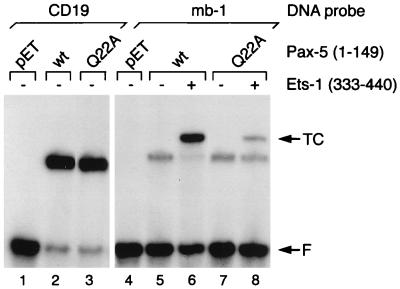 FIG. 5