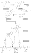 Fig. (1)