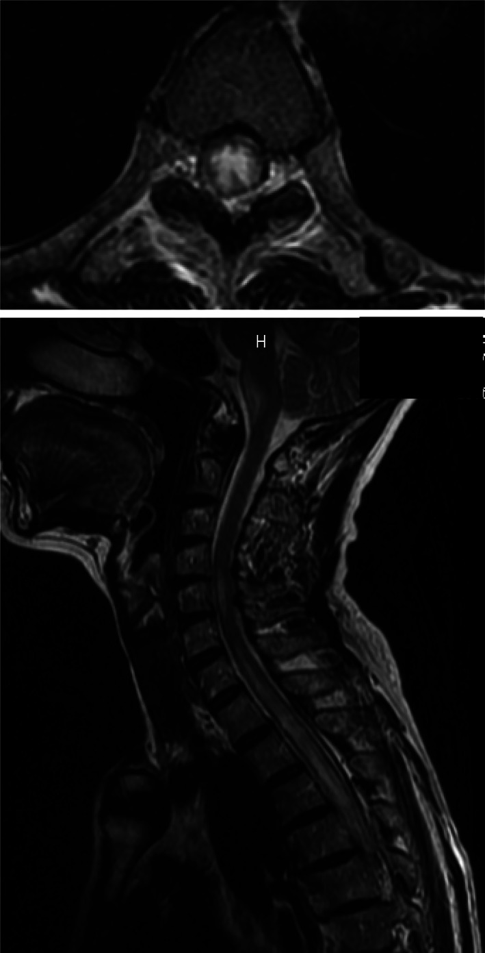 FIGURE 1