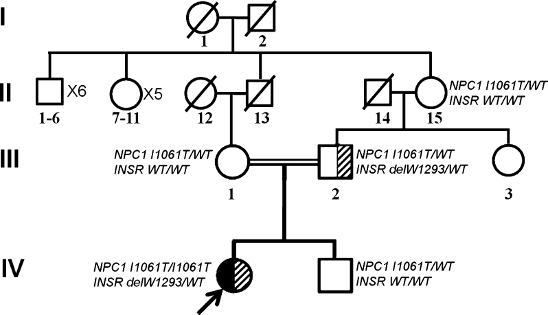 Fig. 2