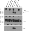 FIG 10