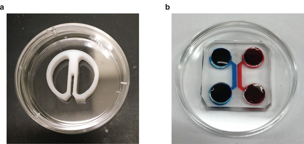 Figure 1: