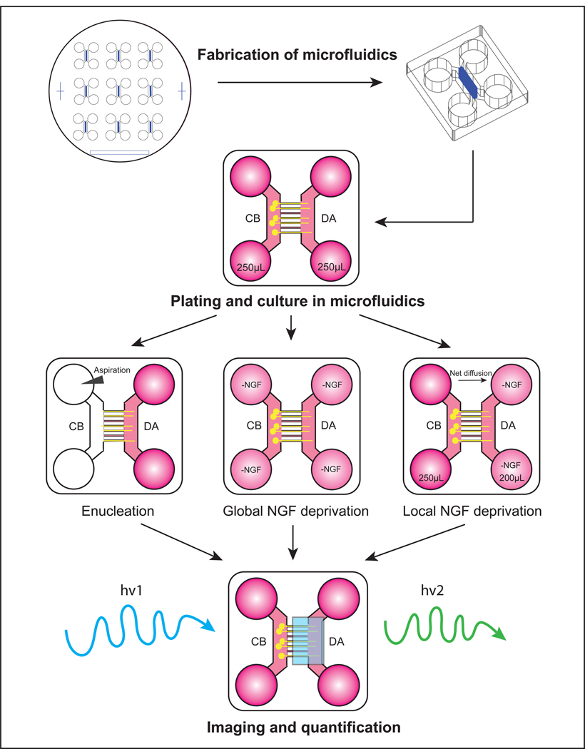 Figure 2: