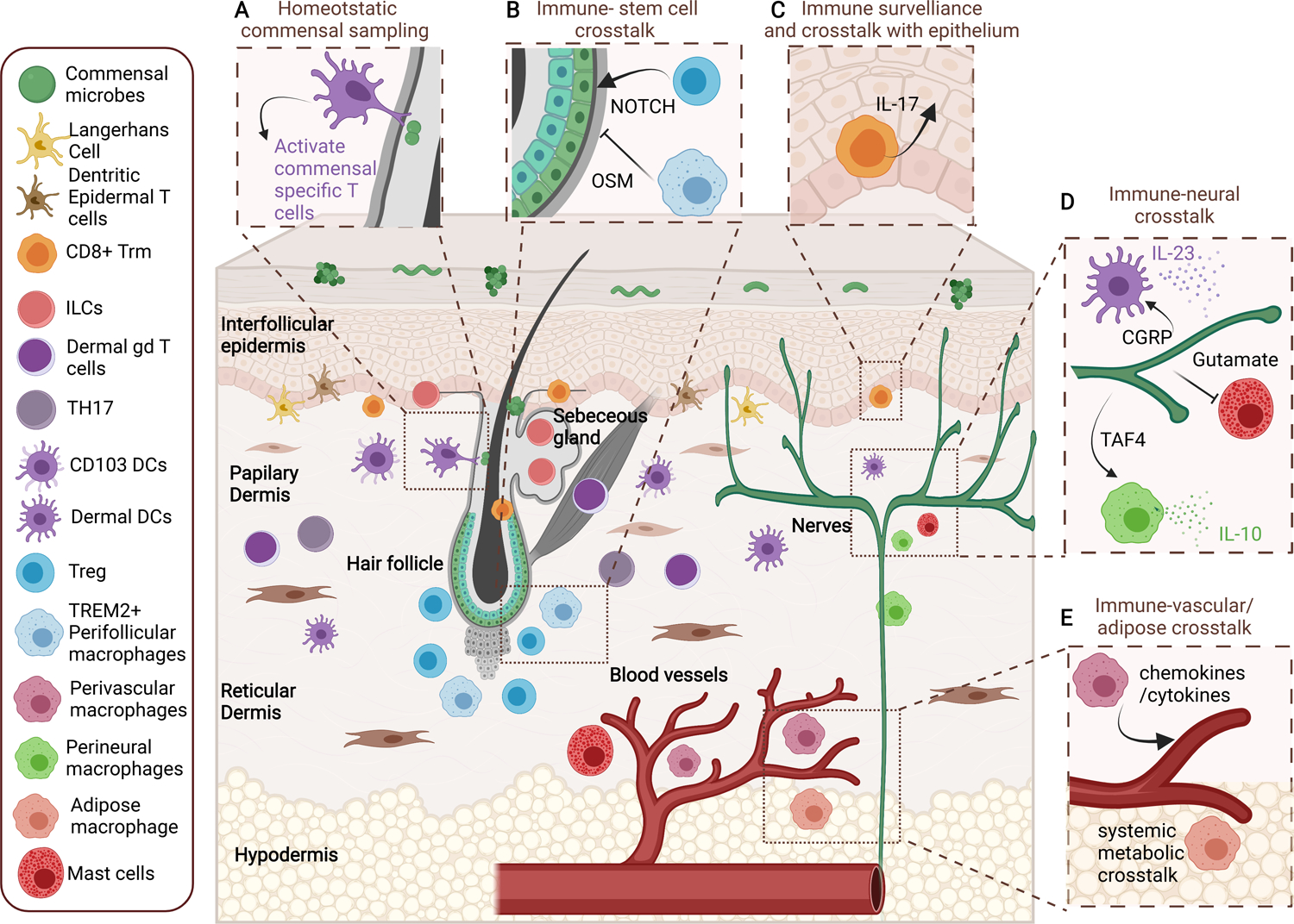 Figure 1: