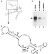 FIG. 4