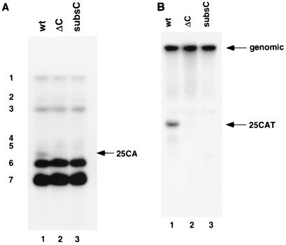 FIG. 7