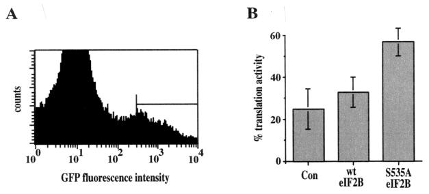 FIG. 5.