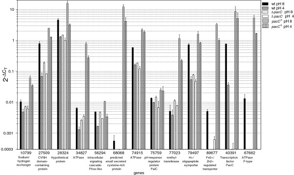 Figure 6