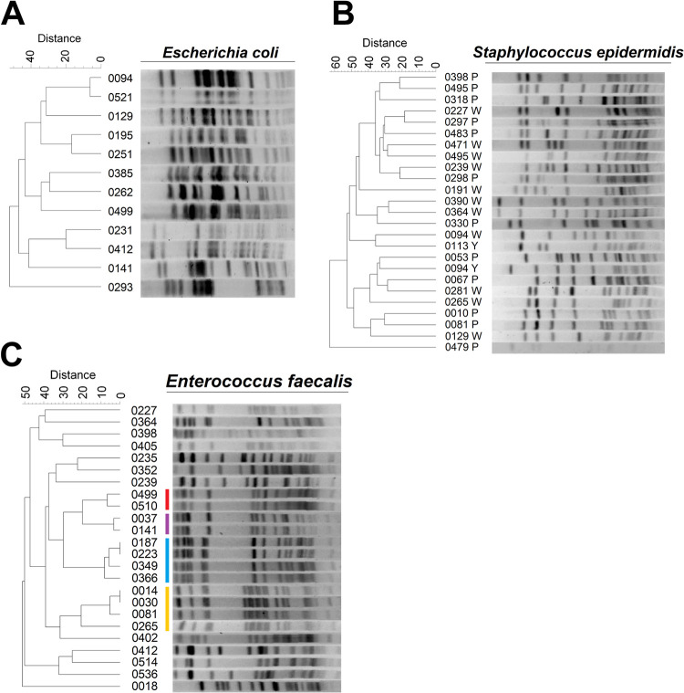 FIG 4