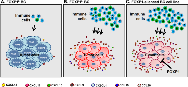 Unlabelled Image