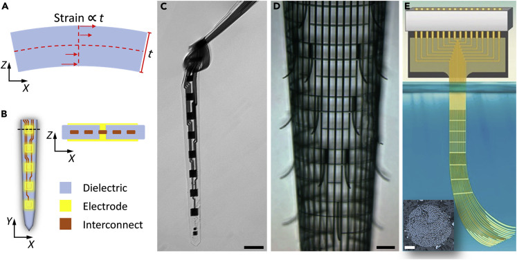 Figure 3